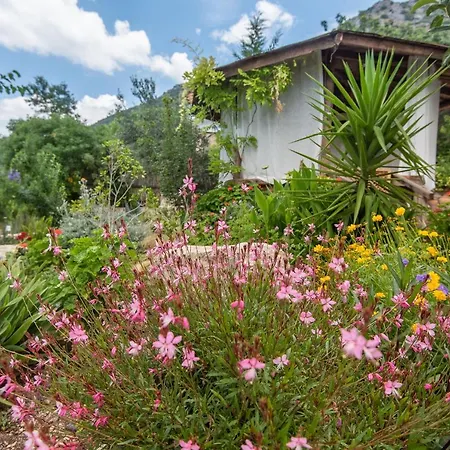 Villa Cennet Bahcesi *